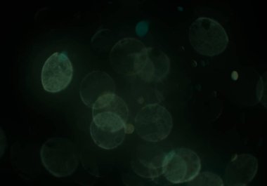 metin veya görüntü için alan ile bokeh arka plan