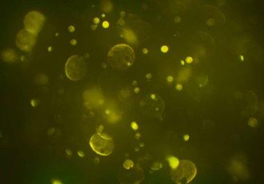 parlak bokeh ışıkları ile dijital duvar kağıdı 