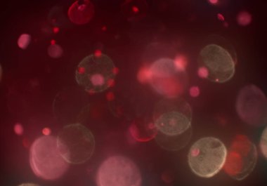 stardust bokeh toz parıltılar arka plan