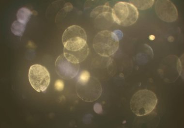 stardust bokeh toz parıltılar arka plan