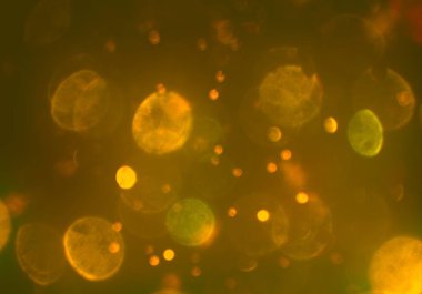 stardust bokeh toz parıltılar arka plan