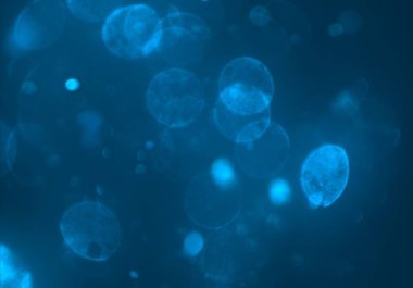 stardust bokeh toz parıltılar arka plan