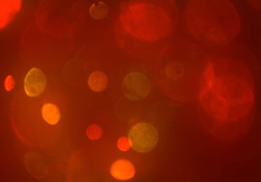 stardust bokeh toz parıltılar arka plan