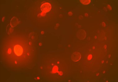 bokeh ile parlak soyut arka plan