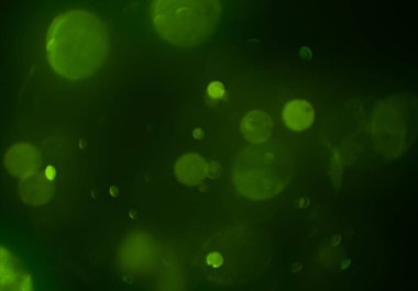 stardust bokeh toz parıltılar arka plan