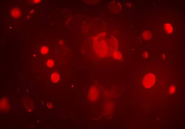 stardust bokeh toz parıltılar arka plan