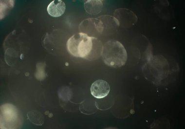 stardust bokeh toz parıltılar arka plan