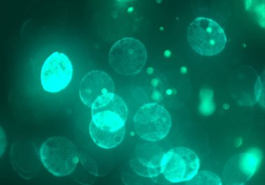 stardust bokeh toz parıltılar arka plan