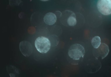 stardust bokeh toz parıltılar arka plan