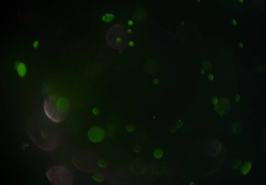 soyut arkaplan, kopyalama alanı