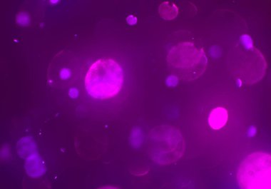 stardust bokeh toz parıltılar arka plan