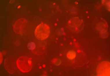 stardust bokeh toz parıltılar arka plan