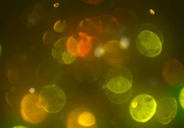 stardust bokeh toz parıltılar arka plan