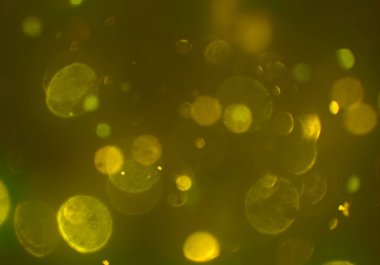 stardust bokeh toz parıltılar arka plan