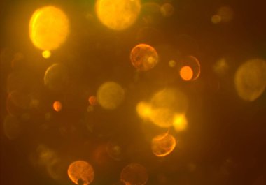 kopya alanı ile bokeh ışıkları dijital arka plan