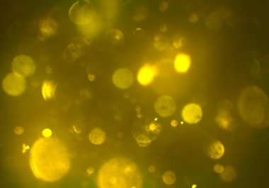 stardust bokeh toz glitters duvar kağıdı