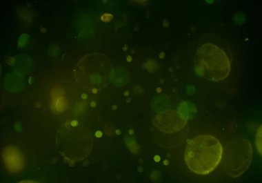 stardust bokeh toz glitters duvar kağıdı