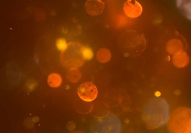 stardust bokeh toz glitters duvar kağıdı