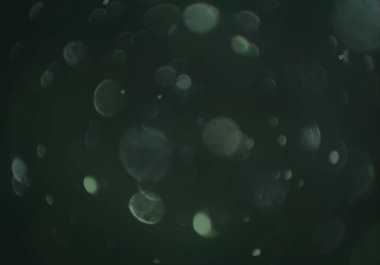 stardust bokeh toz glitters duvar kağıdı