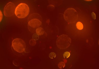 parlak bokeh ışıkları ile dijital duvar kağıdı 