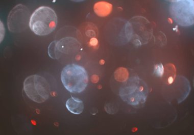 bokeh ile parlak soyut arka plan