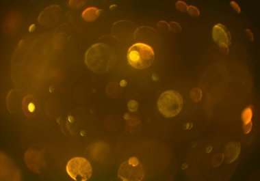 soyut bokeh toz glitters duvar kağıdı