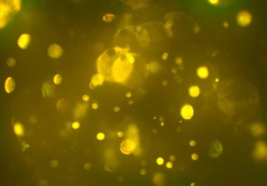 soyut bokeh toz glitters duvar kağıdı