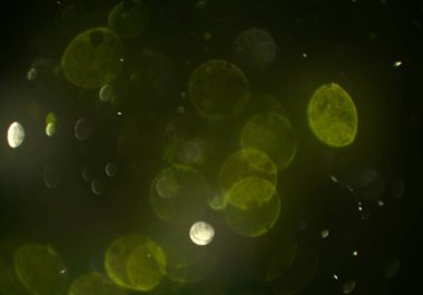 soyut bokeh toz glitters duvar kağıdı