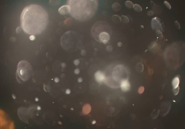 soyut bokeh toz glitters duvar kağıdı