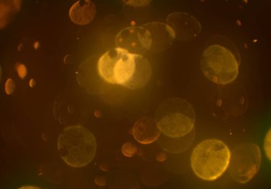 soyut bokeh toz glitters duvar kağıdı