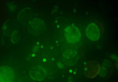 bokeh ile sanat soyut arka plan 