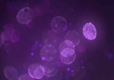 bokeh ile parlak soyut arka plan