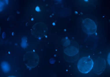 soyut bulanık bokeh arka plan, kopyalama alanı  