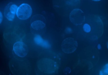 mavi ve beyaz arkaplan