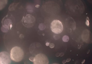 metin veya görüntü için alan ile bokeh arka plan