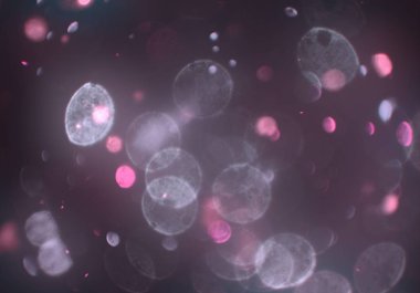 parlak bokeh ışıkları ile dijital duvar kağıdı 