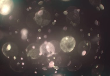 parlak bokeh ışıkları ile dijital duvar kağıdı 