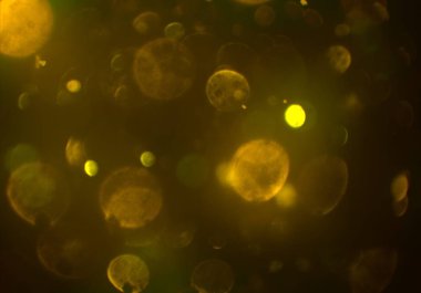 soyut bulanık bokeh arka plan, kopyalama alanı 