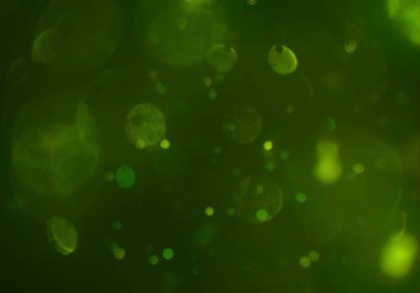 soyut bulanık bokeh arka plan, kopyalama alanı 