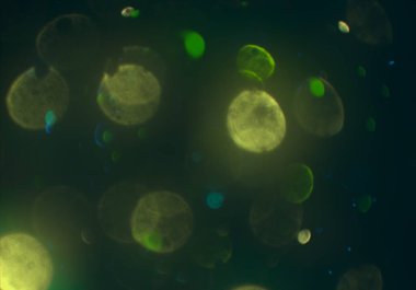 bokeh abstact arka plan ile galaksi