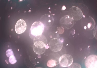 soyut arkaplan, kopyalama alanı