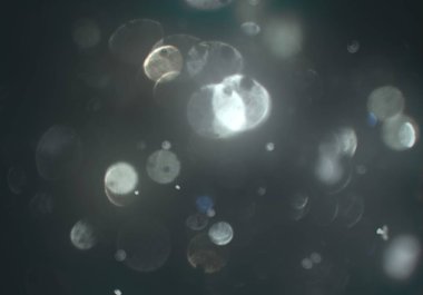 bokeh ile sanat soyut arka plan 