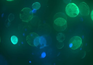 bokeh ile sanat soyut arka plan 