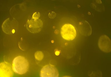 Bokeh ile soyut arkaplan