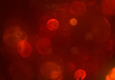 parlak bokeh ışıkları ile dijital duvar kağıdı 