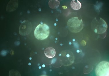 metin veya görüntü için alan ile bokeh arka plan