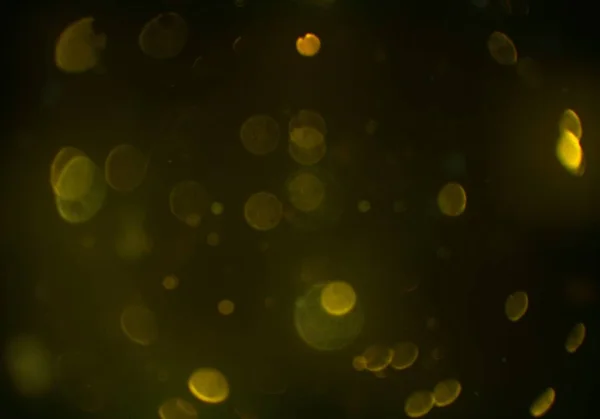 Digital Wallpaper Shiny Bokeh Lights — Stock Photo, Image