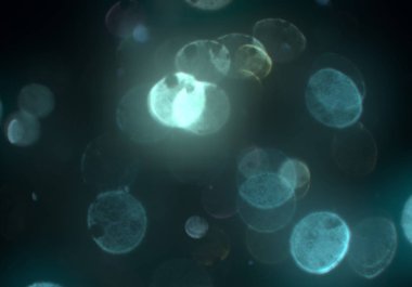 bokeh ile sanat soyut arka plan 