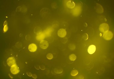 kopya alanı ile bokeh ışıkları dijital arka plan