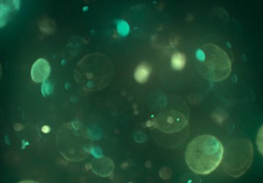 parlak bokeh ışıkları ile dijital duvar kağıdı 